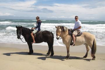 Hatteras Horseback Riding
